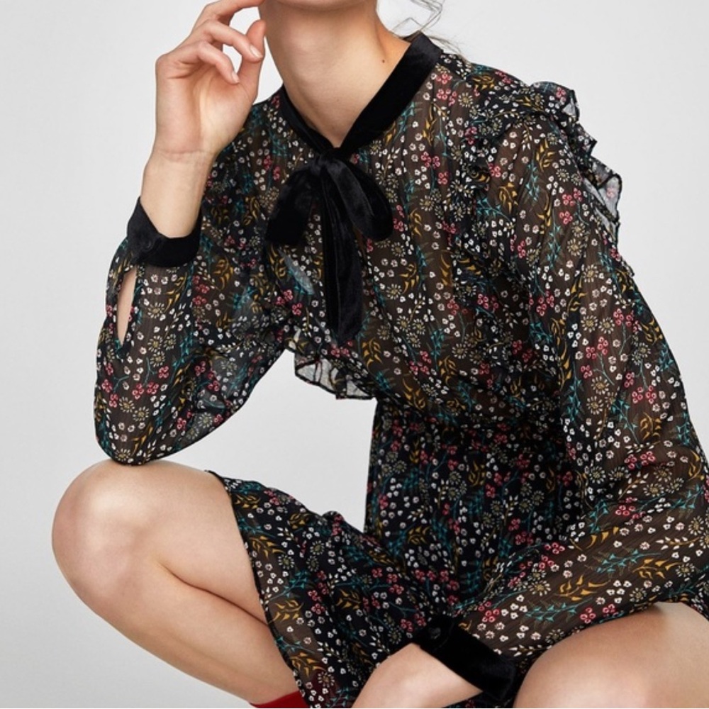 Zara Floral Sheer Dress